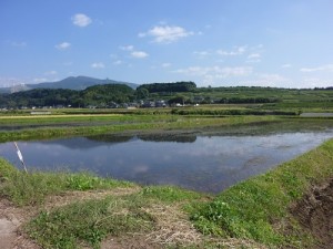 kumamoto1